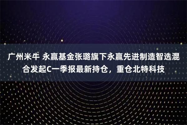 广州米牛 永赢基金张璐旗下永赢先进制造智选混合发起C一季报最新持仓，重仓北特科技