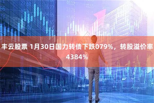 丰云股票 1月30日国力转债下跌079%，转股溢价率4384%