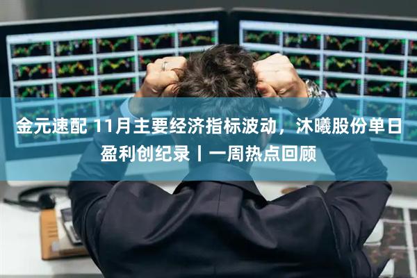金元速配 11月主要经济指标波动，沐曦股份单日盈利创纪录丨一周热点回顾